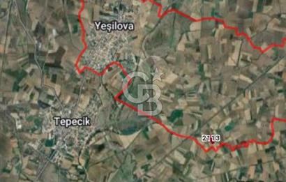 Kadastro Yoluna Cepheli, TEK TAPU Satılık 4.800 m² Verimli Tarla