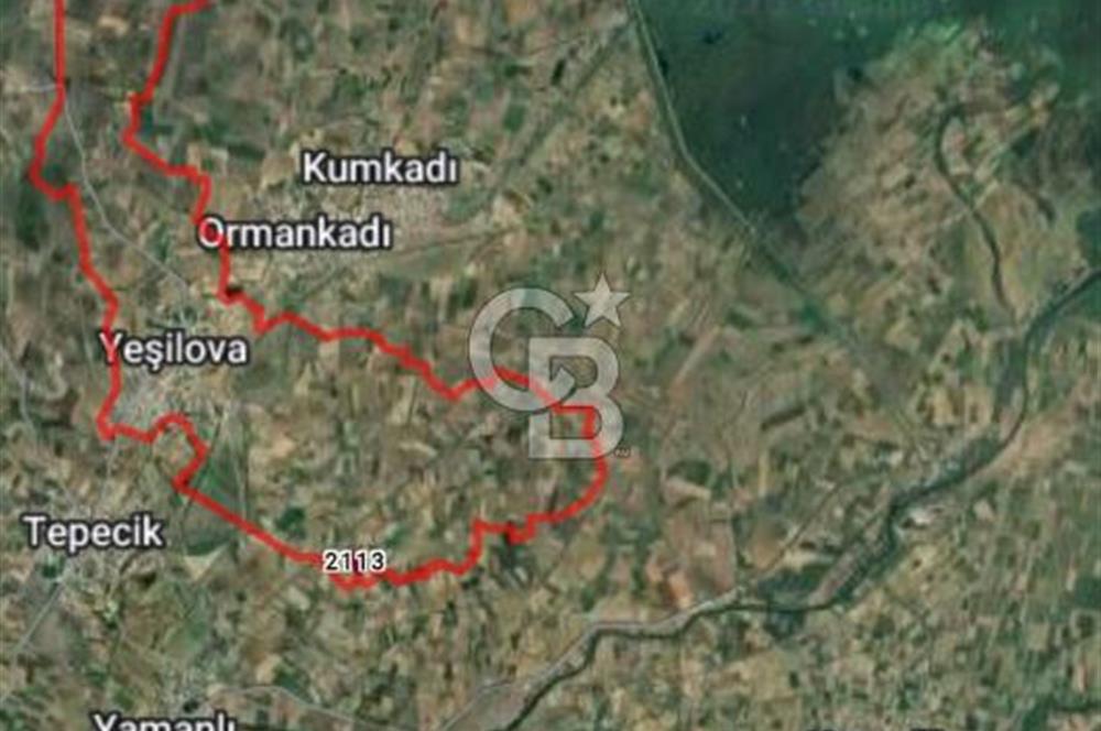 Kadastro Yoluna Cepheli, TEK TAPU Satılık 4.800 m² Verimli Tarla
