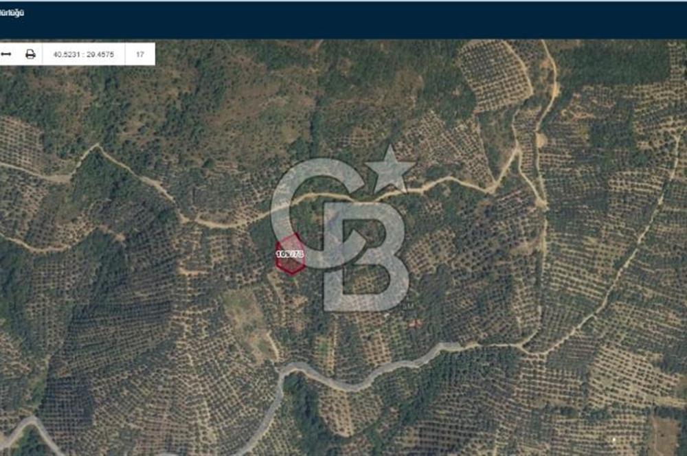 CB EVEREST HALİT DUMAN'DAN ORHANGAZİ ÇAKIRLI'DA SATILIK 1185 M² ARAÇ TAKASLI TARLA!