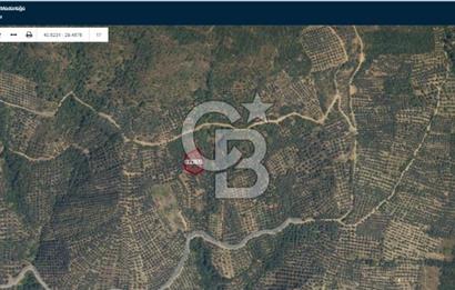 CB EVEREST HALİT DUMAN'DAN ORHANGAZİ ÇAKIRLI'DA SATILIK 1185 M² ARAÇ TAKASLI TARLA!