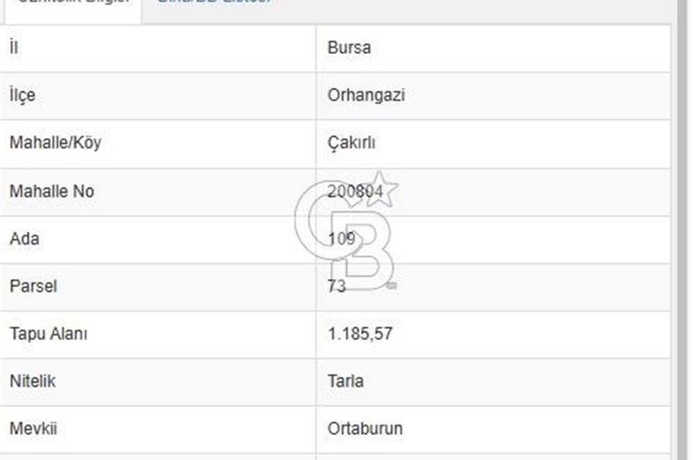 CB EVEREST HALİT DUMAN'DAN ORHANGAZİ ÇAKIRLI'DA SATILIK 1185 M² ARAÇ TAKASLI TARLA!
