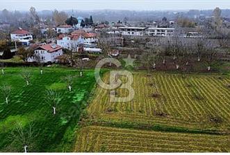 SAKARYA ARİFİYE HACIKÖY DE SATILIK İMARLI 2254 m2 ARSA - 1 - 353242