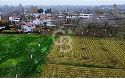 SAKARYA ARİFİYE HACIKÖY DE SATILIK İMARLI 2254 m2 ARSA