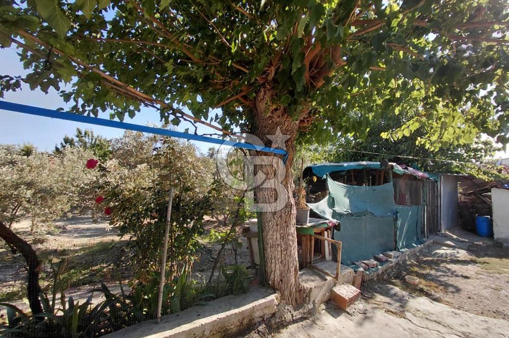 FOÇA GERENKÖY MERKEZDE İMARLI ARSA | SAHİLLERE KISA MESAFE
