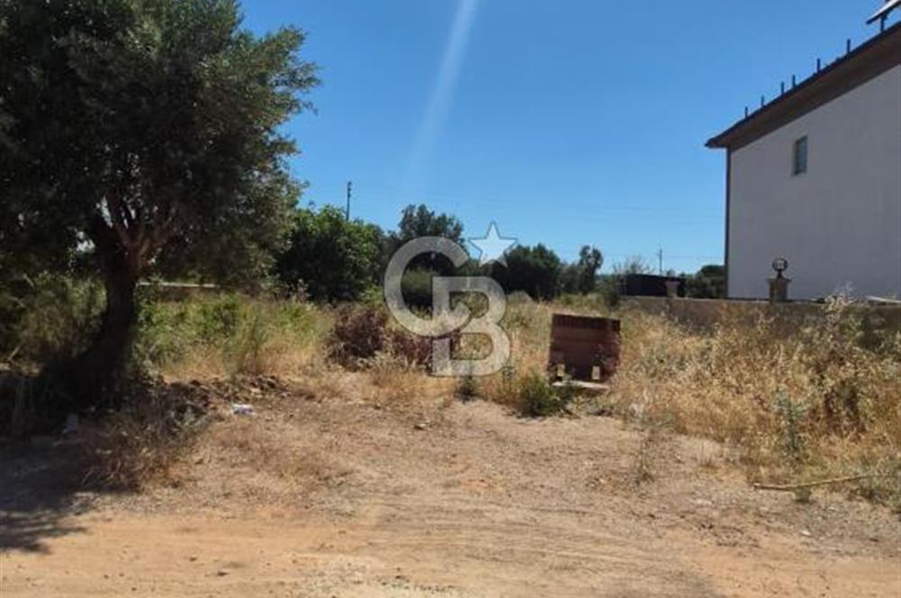 Didim Fevzipaşa 'da Denize 1 km Mesafede Satılık Fırsat Arsa