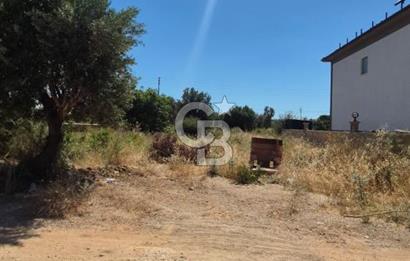 Didim Fevzipaşa 'da Denize 1 km Mesafede Satılık Fırsat Arsa