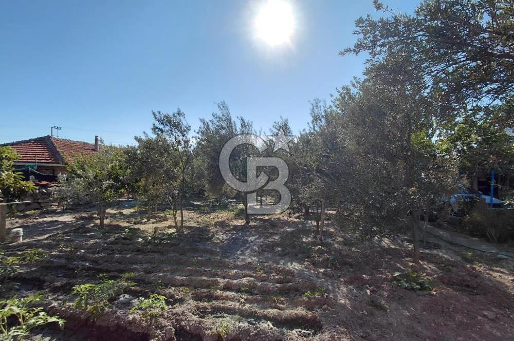 FOÇA GERENKÖY MERKEZDE İMARLI ARSA | SAHİLLERE KISA MESAFE