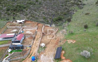 MENDE KÖYÜNDE 600 m² YÜKSEK KAZANÇLI HOBİ BAHÇESİ