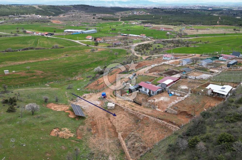 MENDE KÖYÜNDE 600 m² YÜKSEK KAZANÇLI HOBİ BAHÇESİ