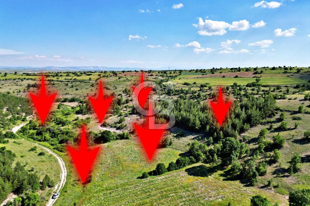 YEŞİLDERE KÖYÜNDE 17.653m² FIRSAT TARLA