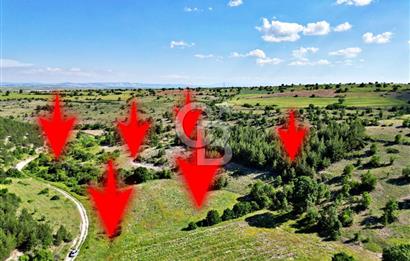 YEŞİLDERE KÖYÜNDE 17.653m² FIRSAT TARLA