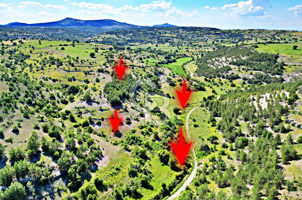 YEŞİLDERE KÖYÜNDE 17.653m² FIRSAT TARLA