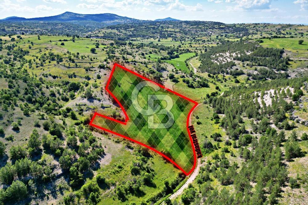 YEŞİLDERE KÖYÜNDE 17.653m² FIRSAT TARLA