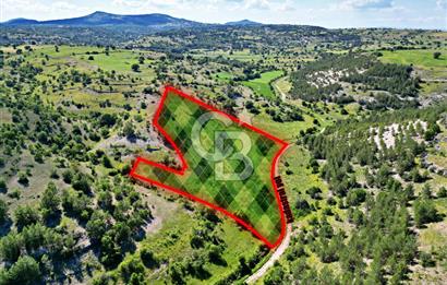 YEŞİLDERE KÖYÜNDE 17.653m² FIRSAT TARLA