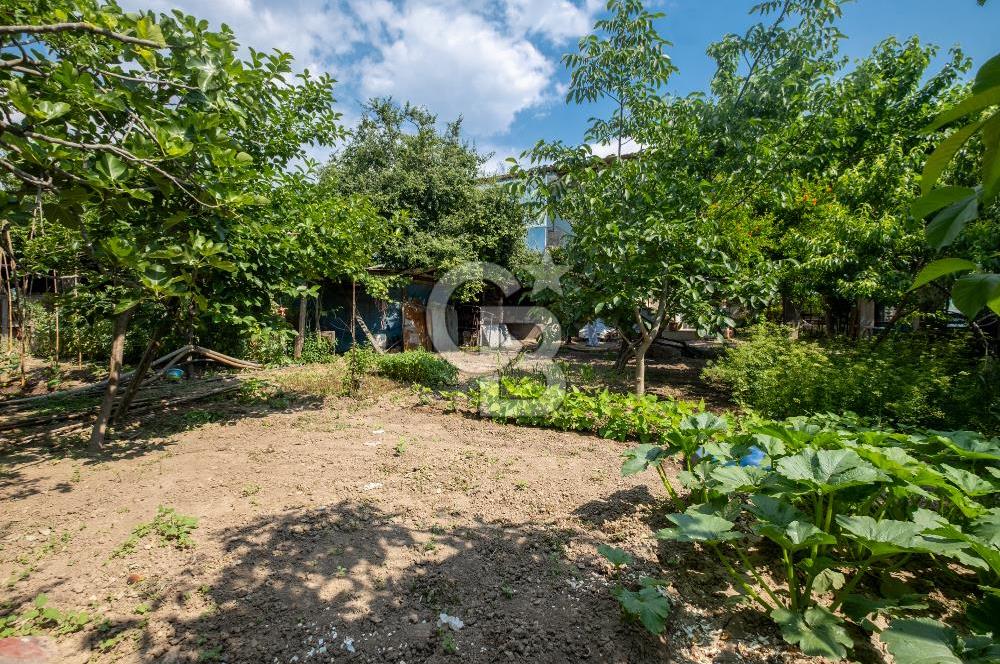 CB AMBIANCE'DAN ULUABAT SÜTAŞ YANI 988 M2 ARSA VE MÜLKLERİ