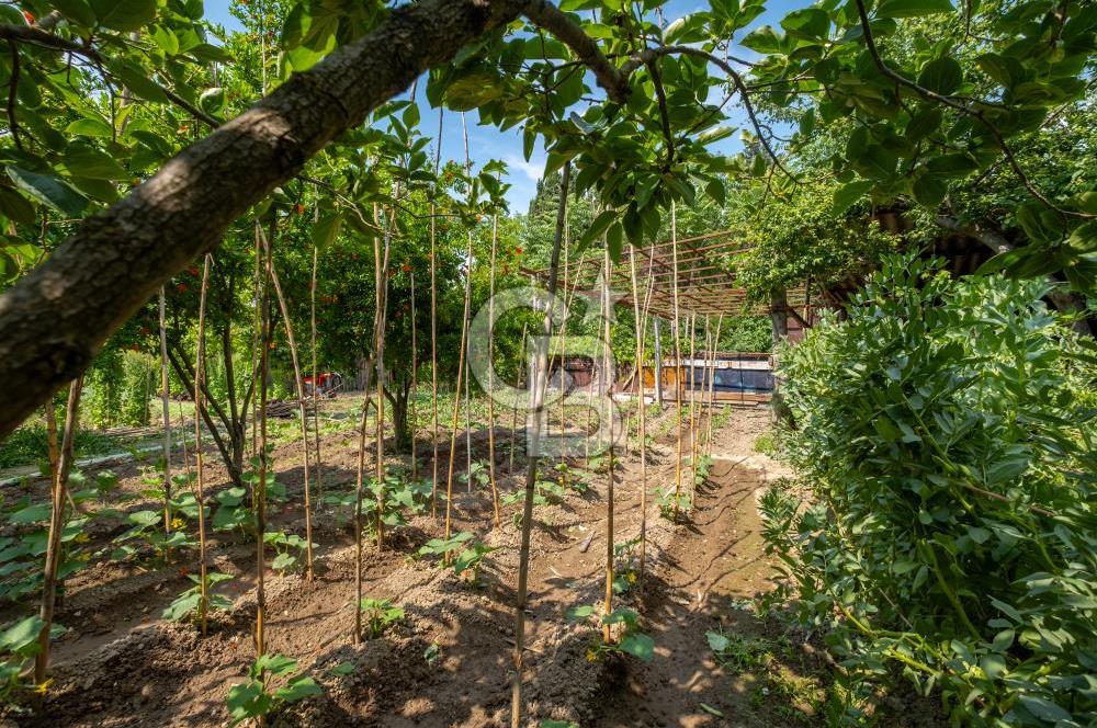 CB AMBIANCE'DAN ULUABAT SÜTAŞ YANI 988 M2 ARSA VE MÜLKLERİ