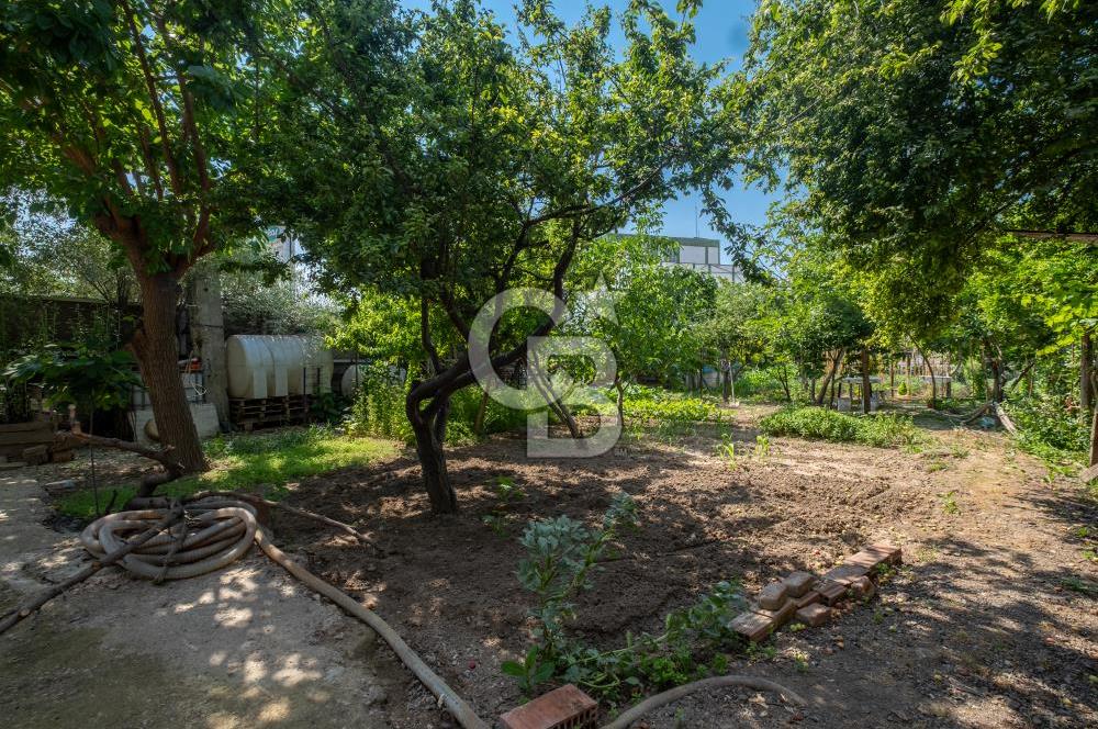 CB AMBIANCE'DAN ULUABAT SÜTAŞ YANI 988 M2 ARSA VE MÜLKLERİ