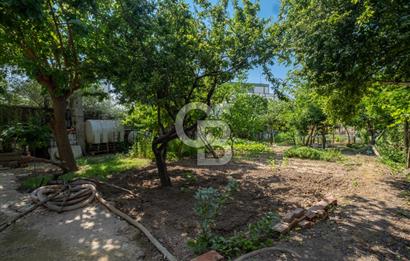 CB AMBIANCE'DAN ULUABAT SÜTAŞ YANI 988 M2 ARSA VE MÜLKLERİ
