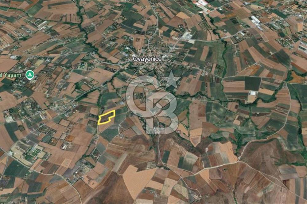  ÇATALCA OVA YENİCE'DE SATILIK 400 M2 TARLA
