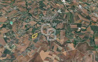  ÇATALCA OVA YENİCE'DE SATILIK 400 M2 TARLA