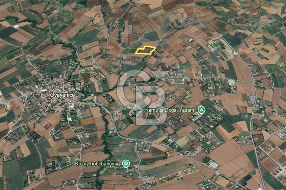  ÇATALCA OVA YENİCE'DE SATILIK 400 M2 TARLA