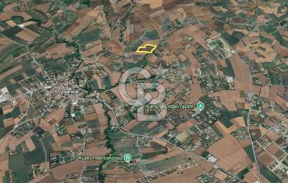  ÇATALCA OVA YENİCE'DE SATILIK 400 M2 TARLA