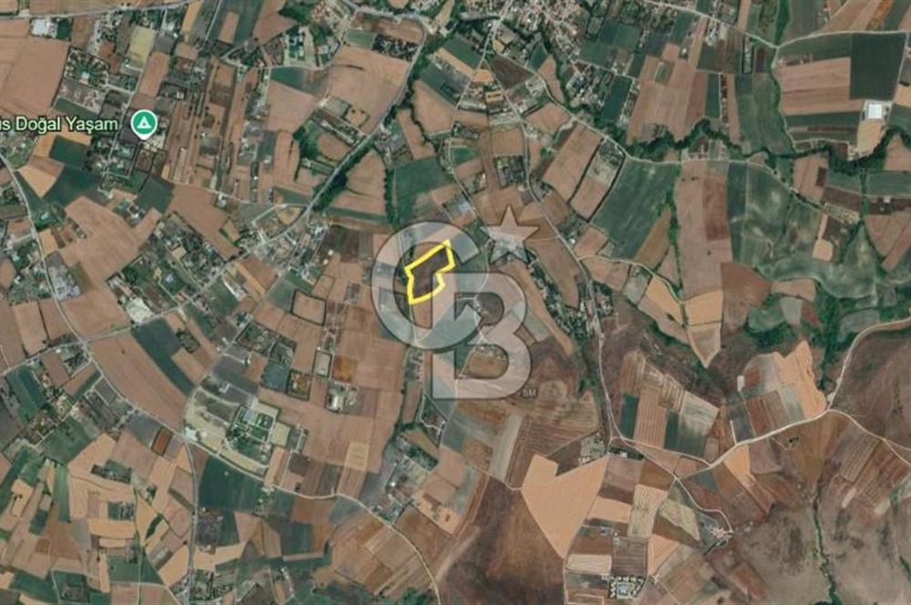  ÇATALCA OVA YENİCE'DE SATILIK 400 M2 TARLA