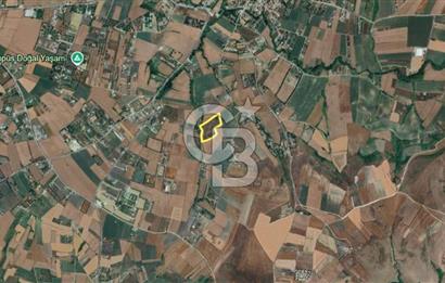 ÇATALCA OVA YENİCE'DE SATILIK 400 M2 TARLA