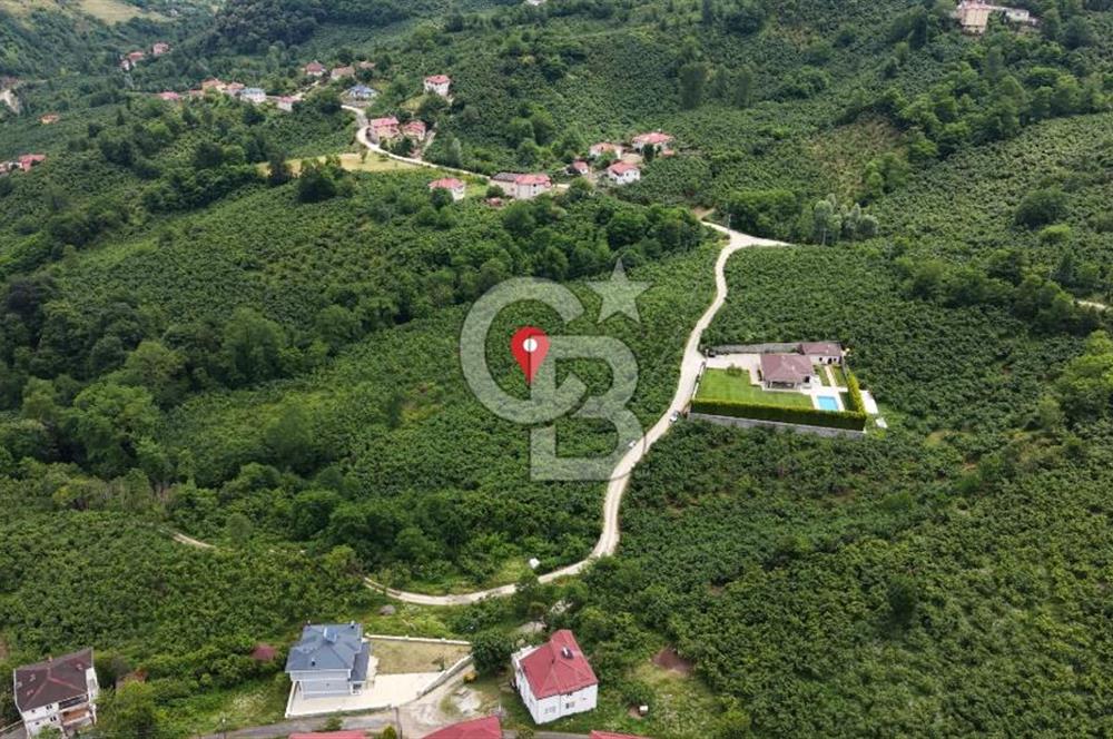 BEYLİ KÖYÜNDE SATILIK BAHÇE 
