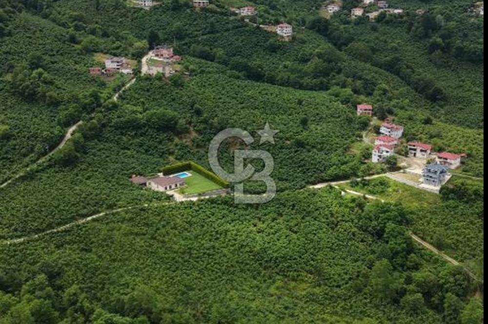 BEYLİ KÖYÜNDE SATILIK BAHÇE 