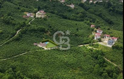 BEYLİ KÖYÜNDE SATILIK BAHÇE 