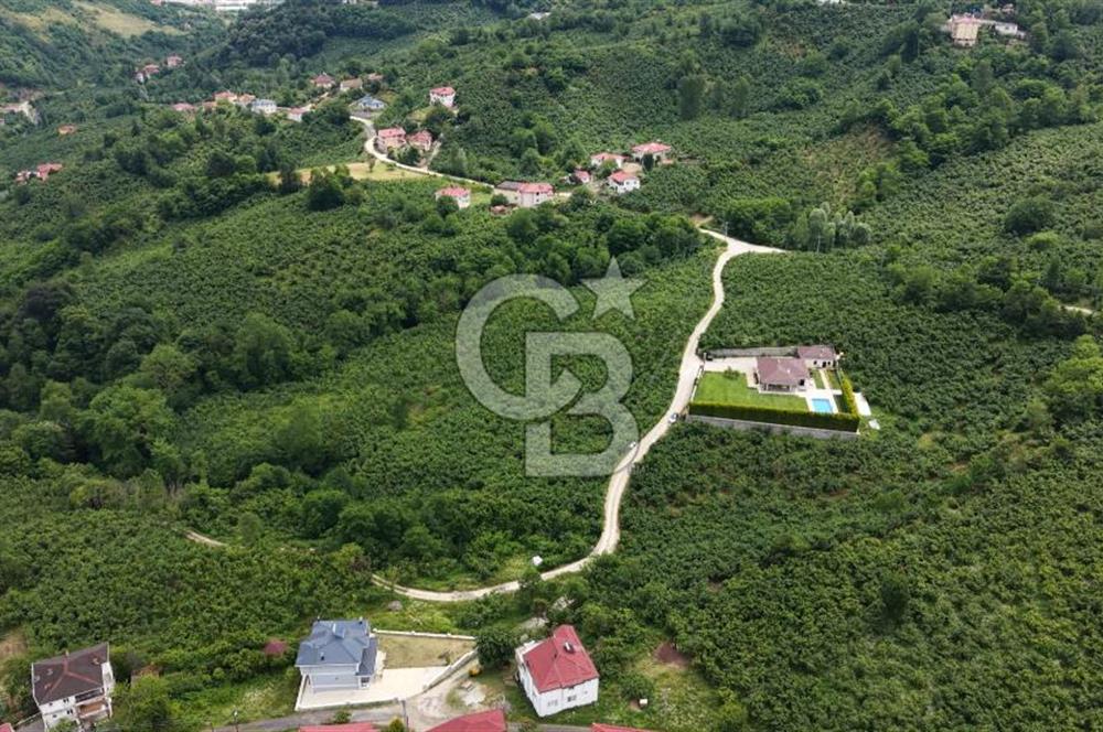 BEYLİ KÖYÜNDE SATILIK BAHÇE 