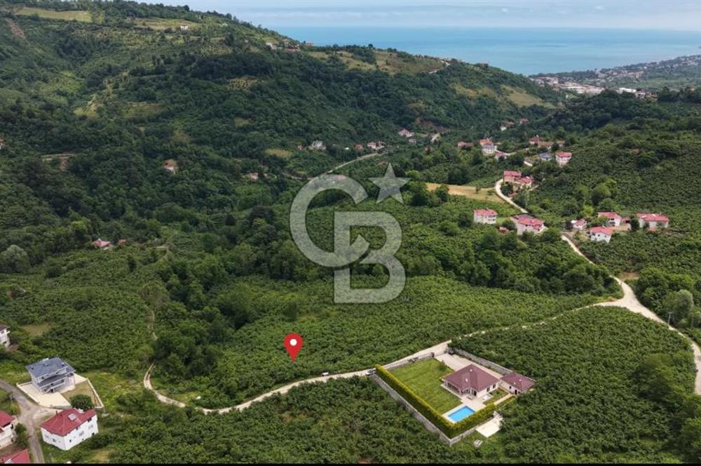 BEYLİ KÖYÜNDE SATILIK BAHÇE 