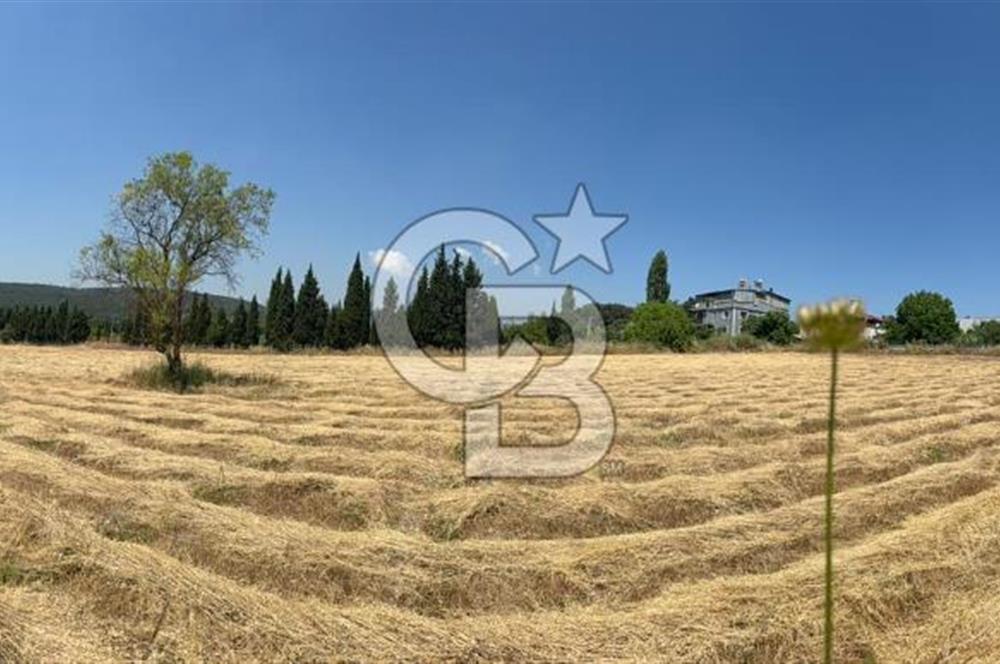 Bornova Çiçekli'de Kiralık Arazi