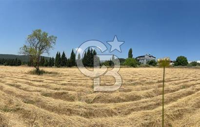 Bornova Çiçekli'de Kiralık Arazi