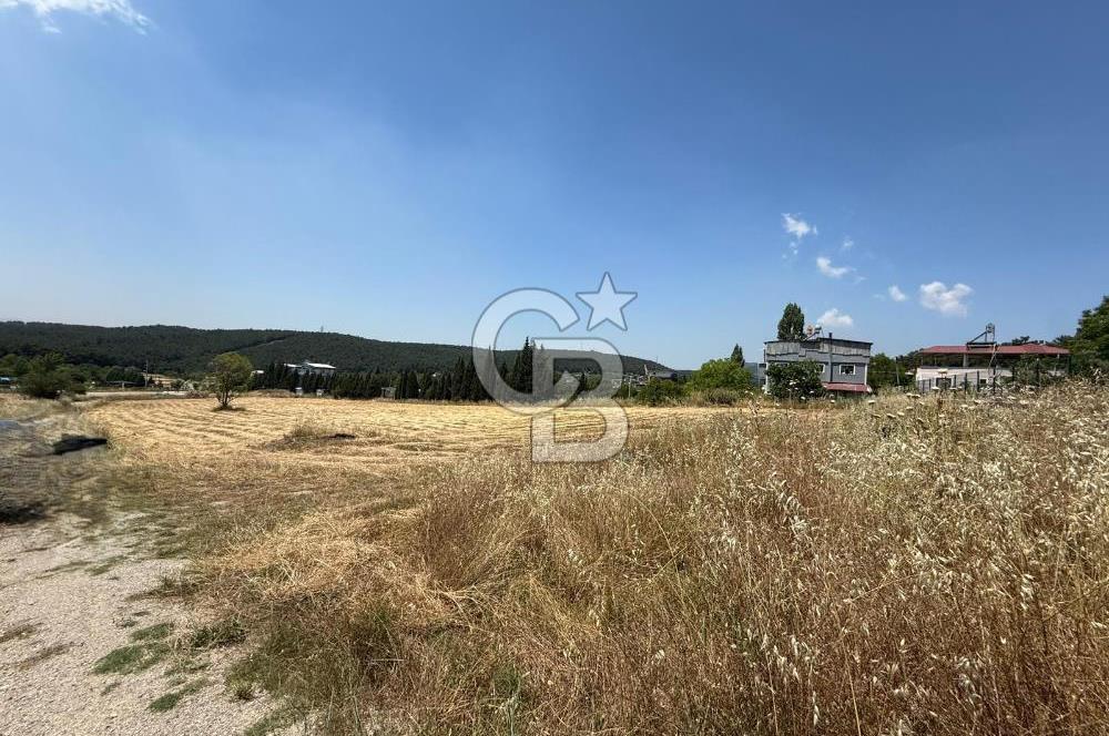 Bornova Çiçekli'de Kiralık Arazi