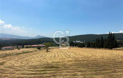 Bornova Çiçekli'de Kiralık Arazi