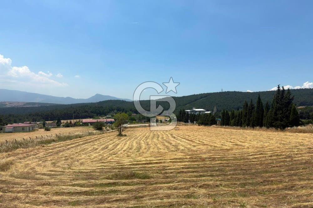 Bornova Çiçekli'de Kiralık Arazi