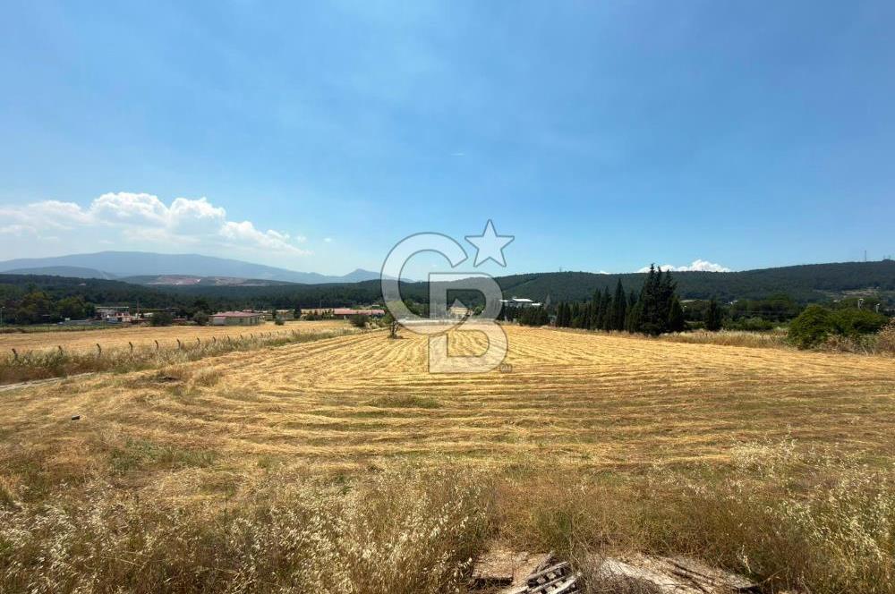 Bornova Çiçekli'de Kiralık Arazi