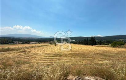 Bornova Çiçekli'de Kiralık Arazi
