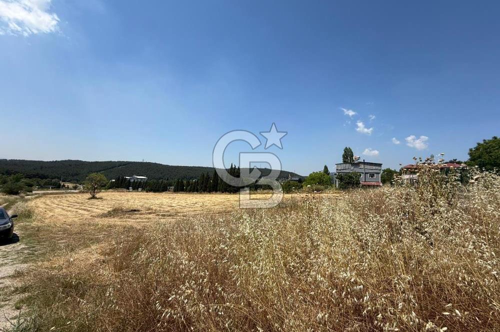 Bornova Çiçekli'de Kiralık Arazi