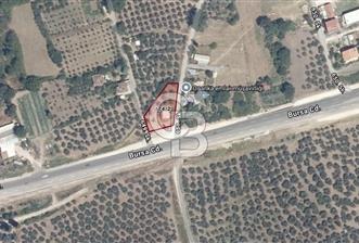CB AMBIANCE'DAN GEMLİK/GENÇALİ'DE 141 M2 SATILIK TARLA - 12 - 353354