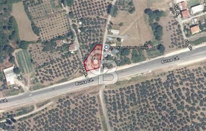CB AMBIANCE'DAN GEMLİK/GENÇALİ'DE 141 M2 SATILIK TARLA