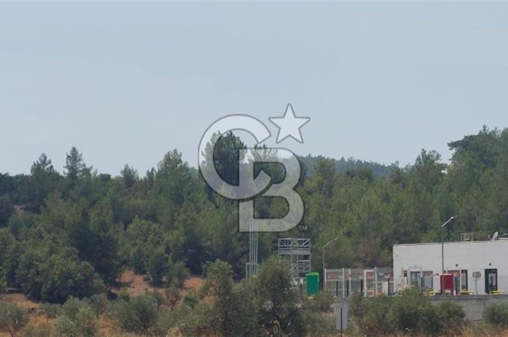 Doğa içinde Satılık Villa Arsası