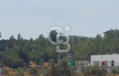Doğa içinde Satılık Villa Arsası