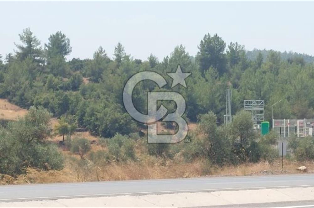 Doğa içinde Satılık Villa Arsası