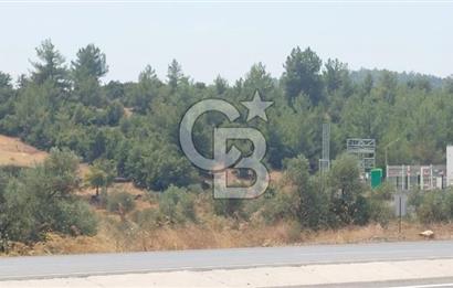 Doğa içinde Satılık Villa Arsası