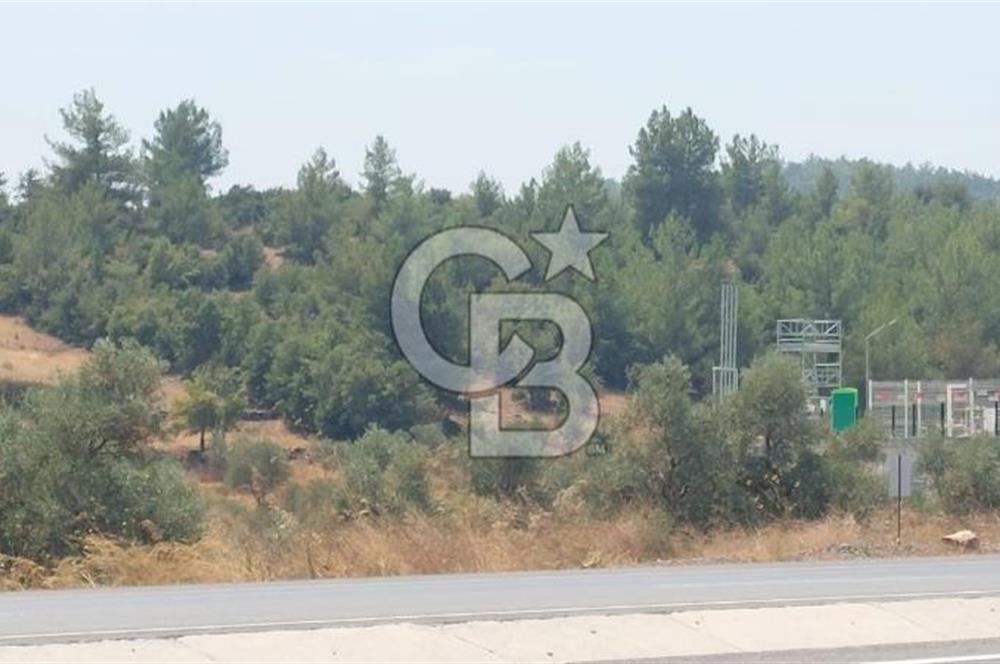 Bodrum Milas Yolu üzeri Satılık Villa Arsası
