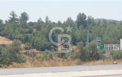 Bodrum Milas Yolu üzeri Satılık Villa Arsası