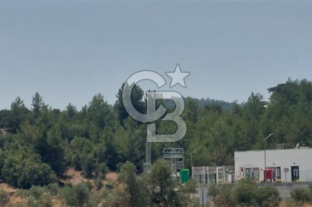Doğa içinde Satılık Villa Arsası